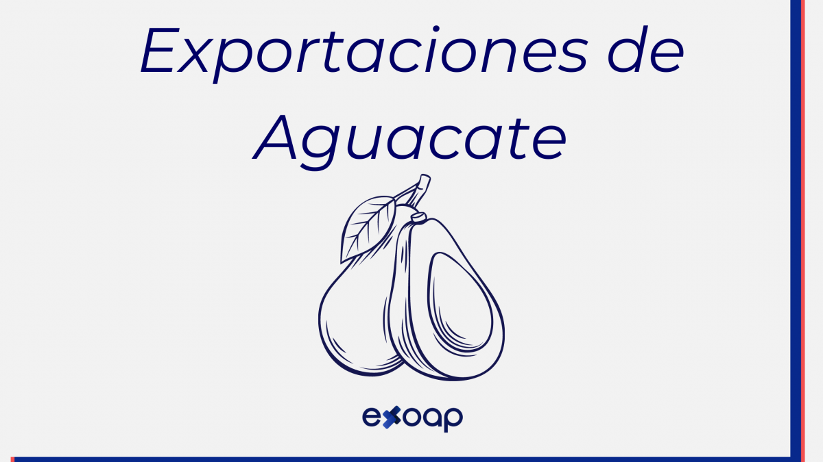 Exportaciones de Aguacate