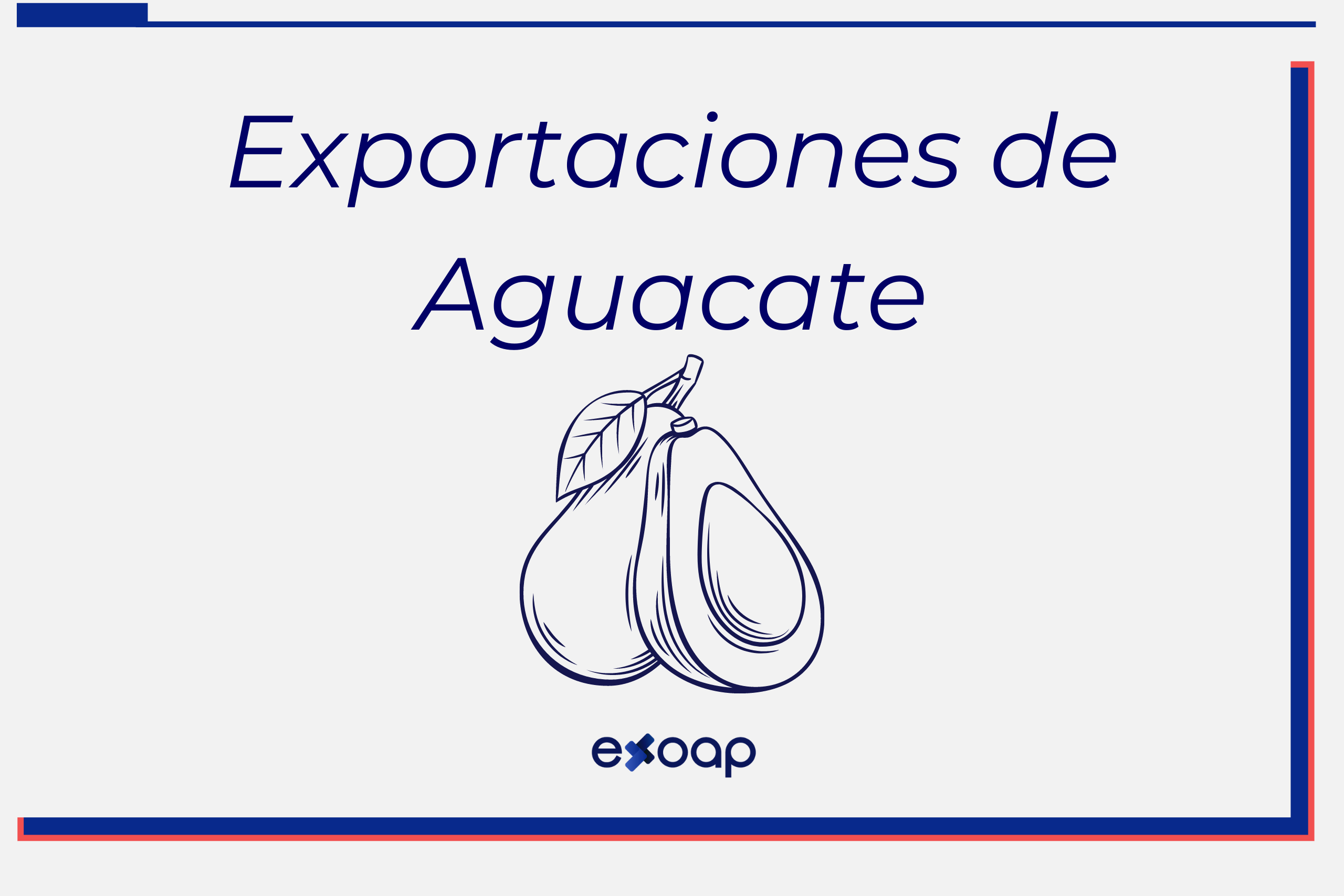 Exportaciones de Aguacate