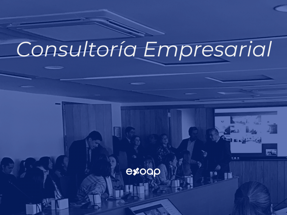 Consultoría Empresarial Expansión Internacional