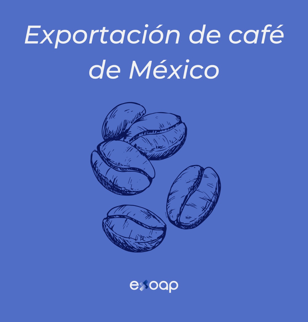 Exportación de Café Mexicano Blog