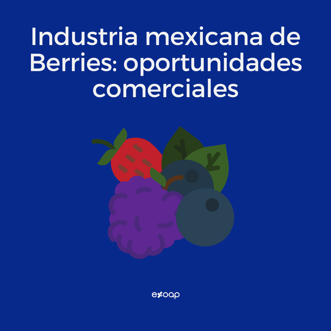 Oportunidades de exportación de berries