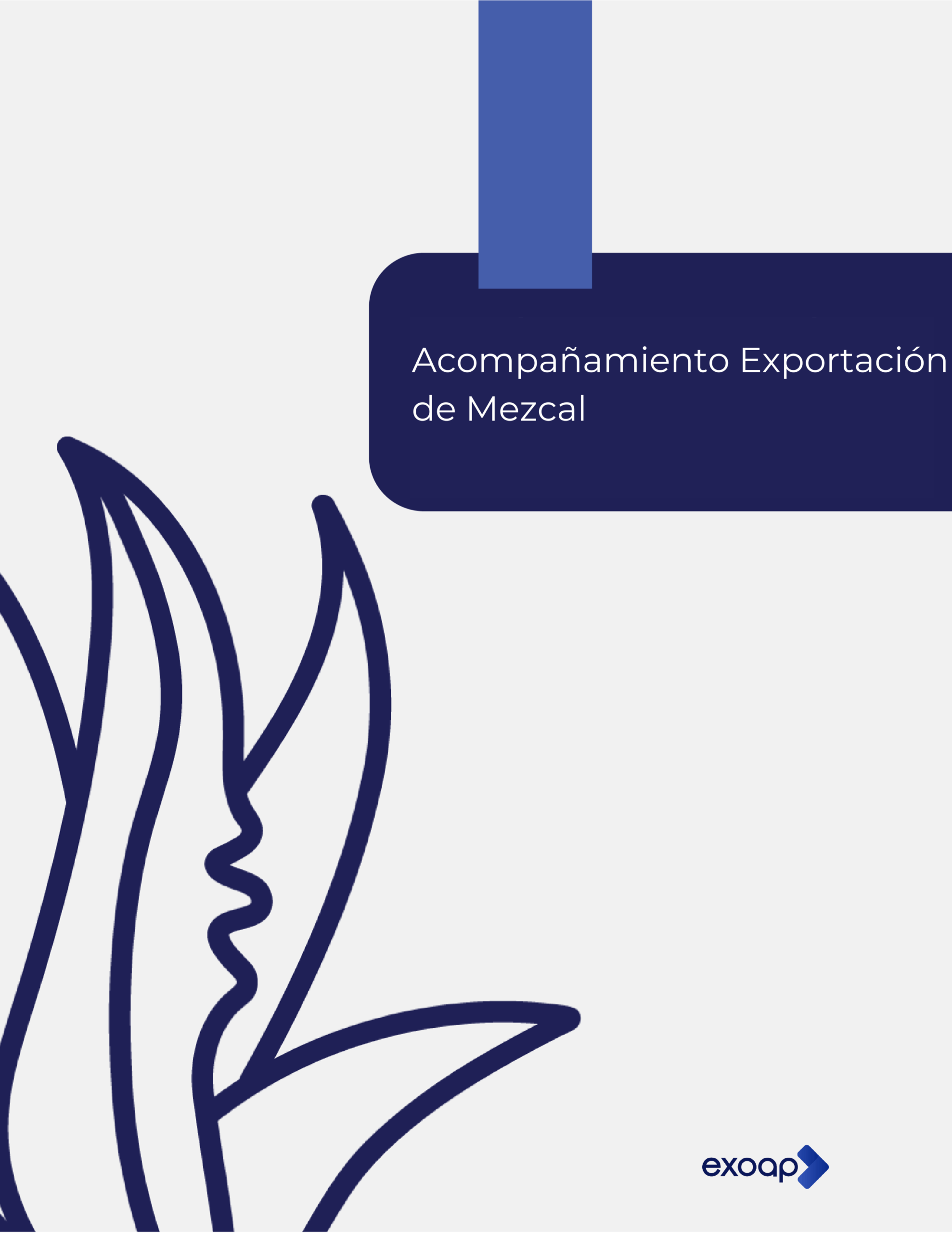 Acompañamiento Exportación de Mezcal