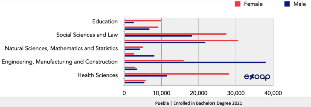 Enrolled in Bachelor's Degree in Puebla | chart